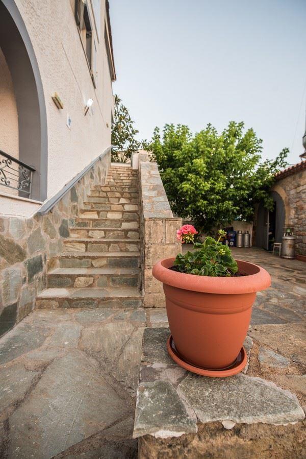 Potamaki Studios & Apartments Stoúpa Extérieur photo